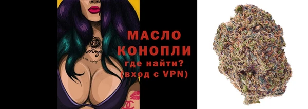 apvp Осинники