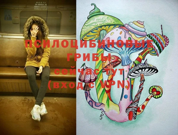 соль ск Осташков