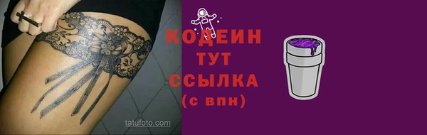 apvp Осинники