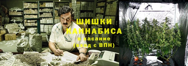 прущие грибы Остров