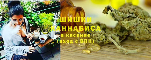 apvp Осинники