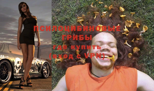 соль ск Осташков