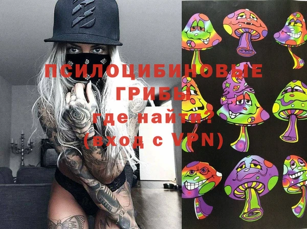 прущие грибы Остров